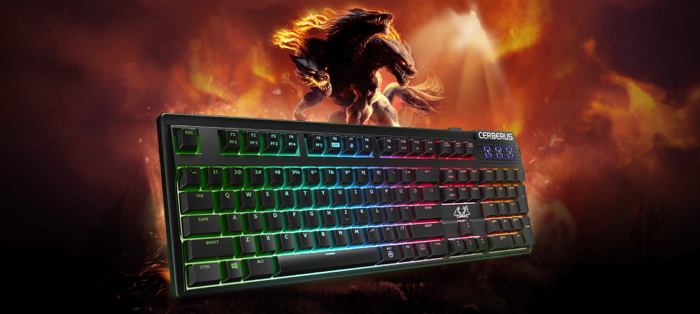 Asus Cerberus Mech Kaihua RGB