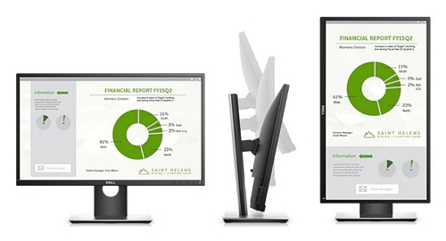 Dell 24