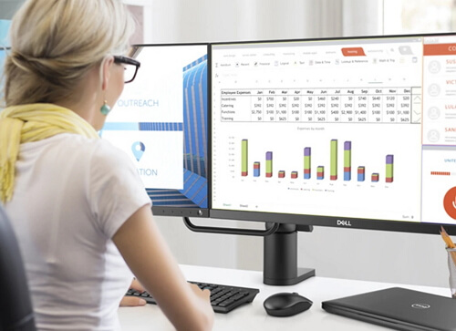 Dell 24