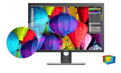 Dell Monitor 30