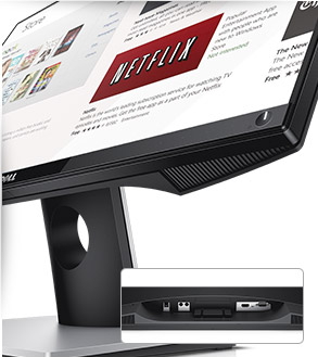 Dell Monitor 22
