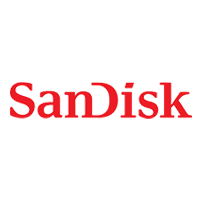SANDISK USB-C Flash Drive (Ingot Crayola) USB 256GB Flashdrives 300M