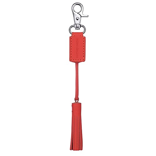 Native Union Power Link Tassel Charger with Lightning