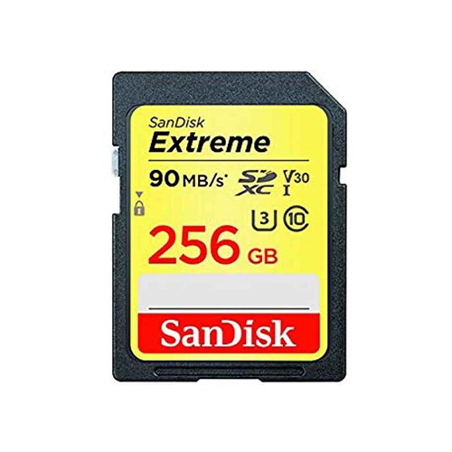 SANDISK 256 GB (SDSDXV5-256G-GNCIN)