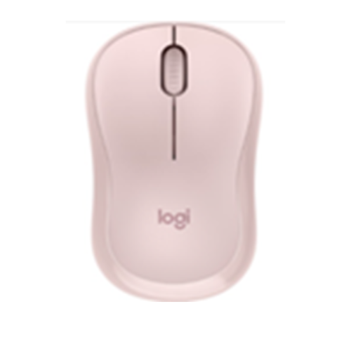 Silent Wireless Mouse M221