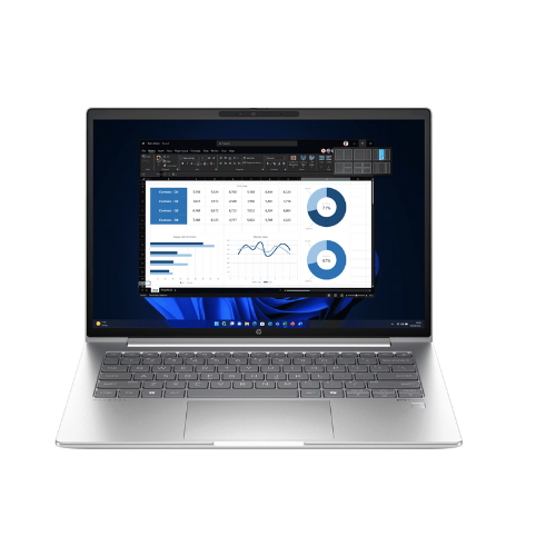 Notebook HP ProBook 445 G11 Ryzen (AQ7X2PT#AKL)