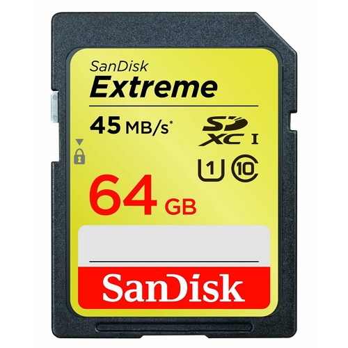 SanDisk Extreme HD Video SDHC 64GB Class 10 (SDSDX_064G_X46)