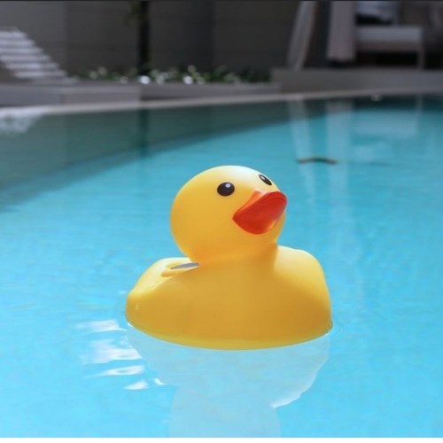AquaJam DuckJam ลำโพงรูปเป็ดน้อยกันน้ำ ป้องกันการกระแทก