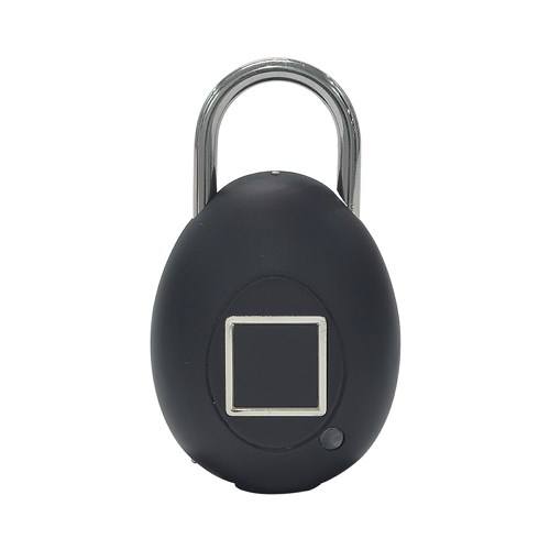 Bio-Key Touch Lock XS (Quail Eggs)