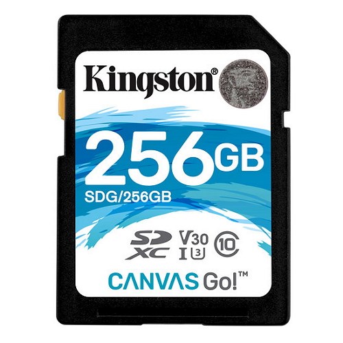 Kingston Canvas Go SDXC Class 10 SD Memory Card UHS-I 90MB|s R Flash Memory Card (SDG|256GB)