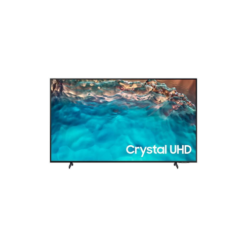 TV SAMSUNG UA65DU8100KXXT