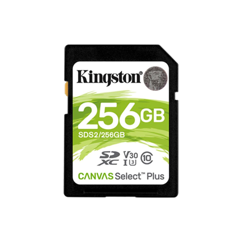 SD CARD KINGSTON SDS2/256GB