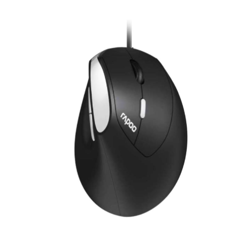 Rapoo EV200