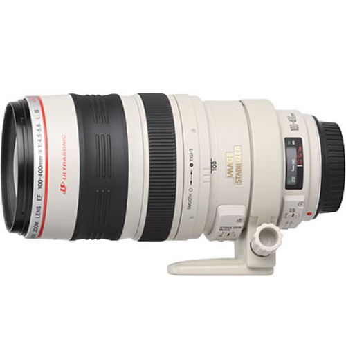 Canon EF 100-400 mm F4.5-5.6 L IS USM