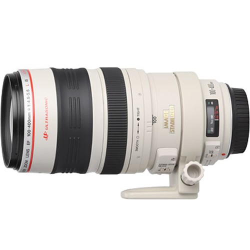 Canon EF 100-400 mm F4.5-5.6 L IS USM