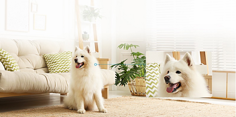 Ezviz C6 4MP Smart Wi-Fi Pan&Tilt Camera กล้องวงจรปิด (EZV-CS-C6-A0-8C4WF)