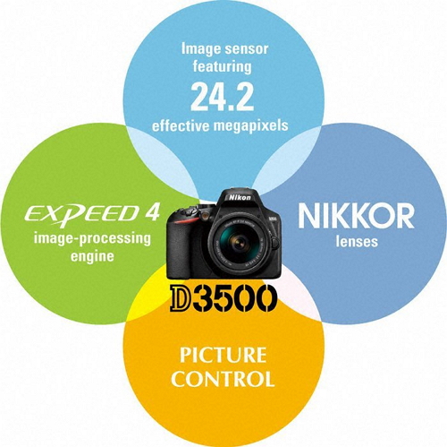 Nikon D3500 with Lens Kit 18-55 mm VR II