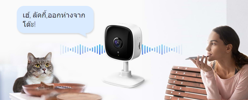 Tp-link Home Security Wi-Fi Camera (Tapo C100)